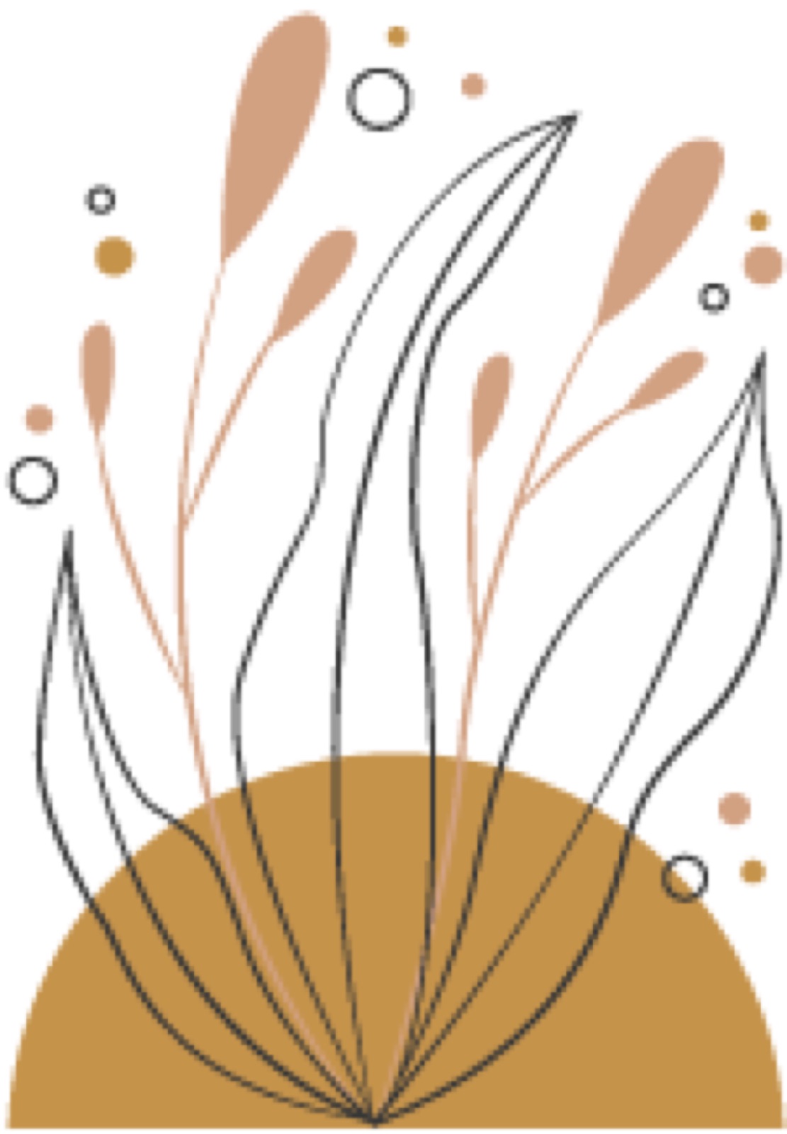Floral Illustration