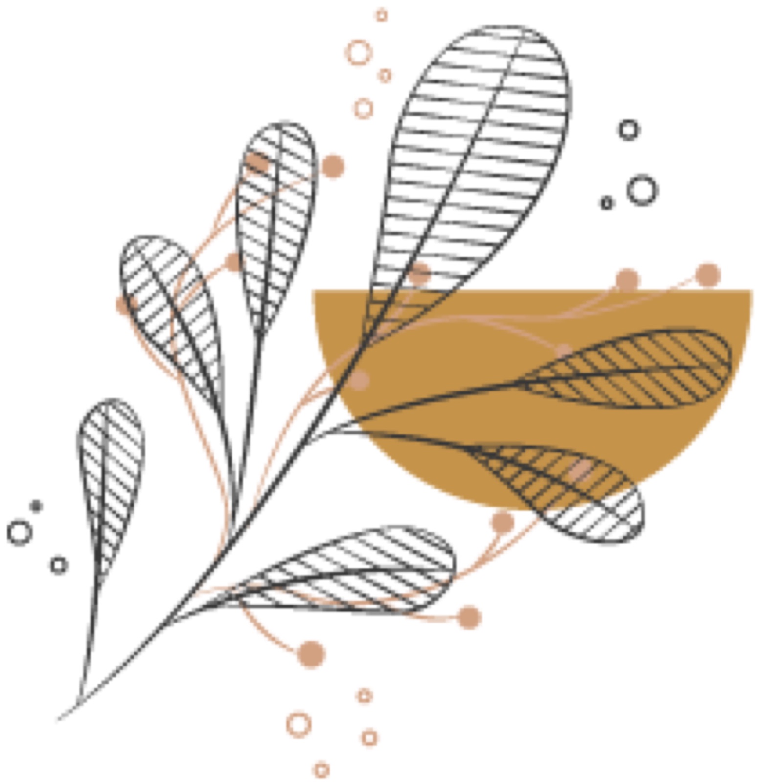 Floral Illustration