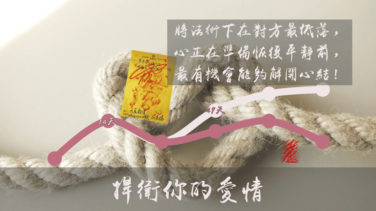 愛情復合與捍衛符令
